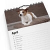 Födelsedagskalender Hundar 2