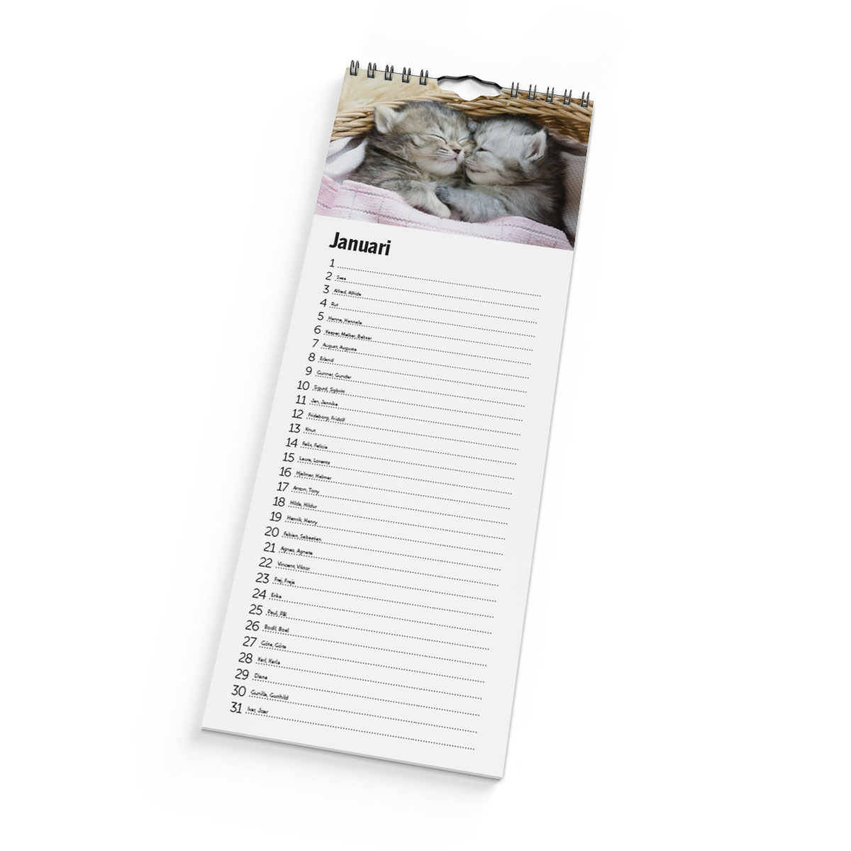 Födelsedagskalender Katter 3