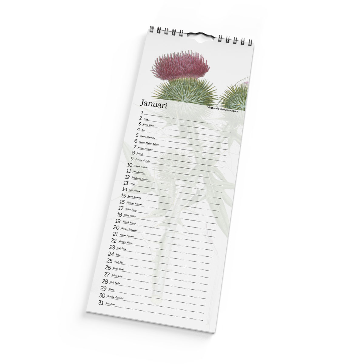 Födelsedagskalender Växter 3