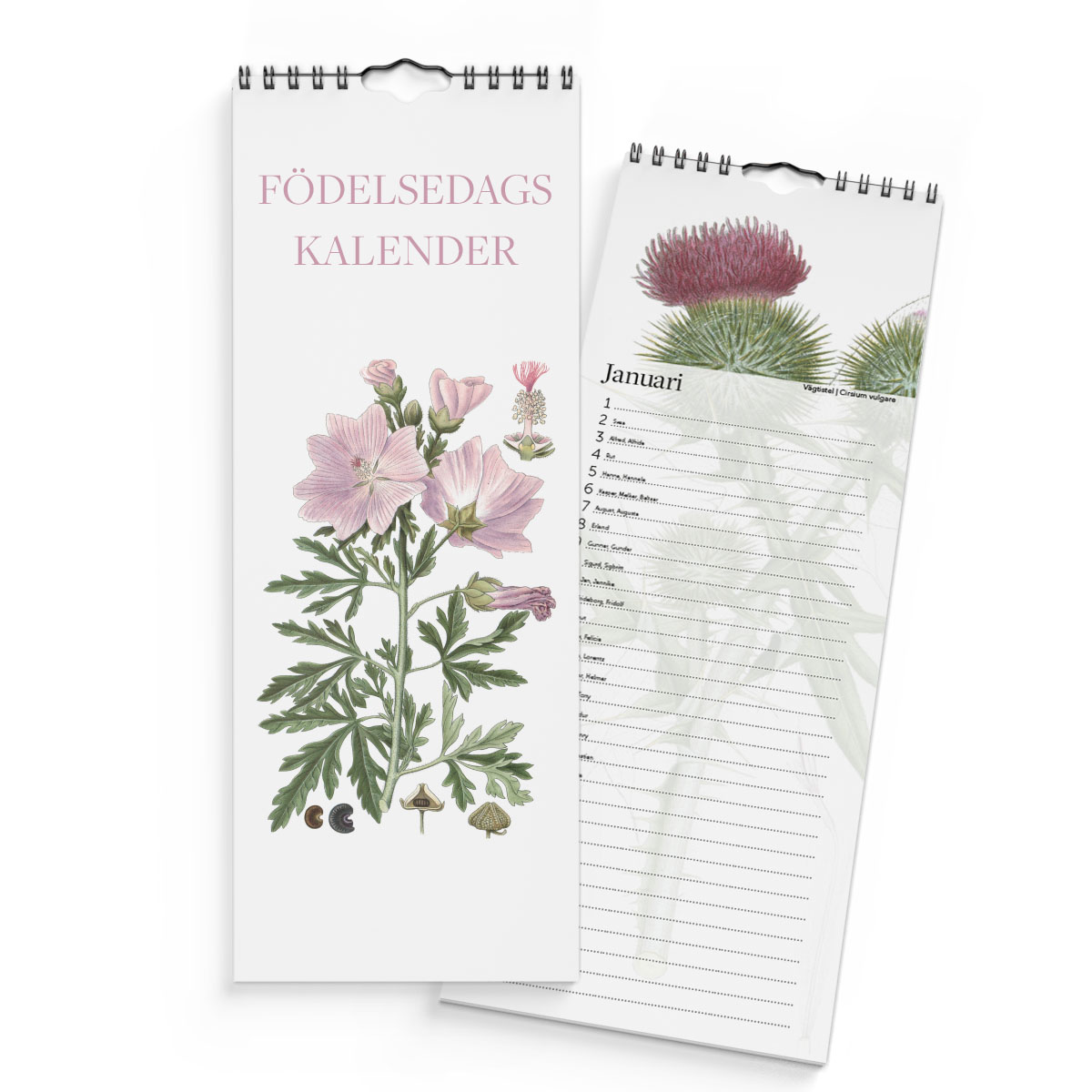 Födelsedagskalender Växter 4
