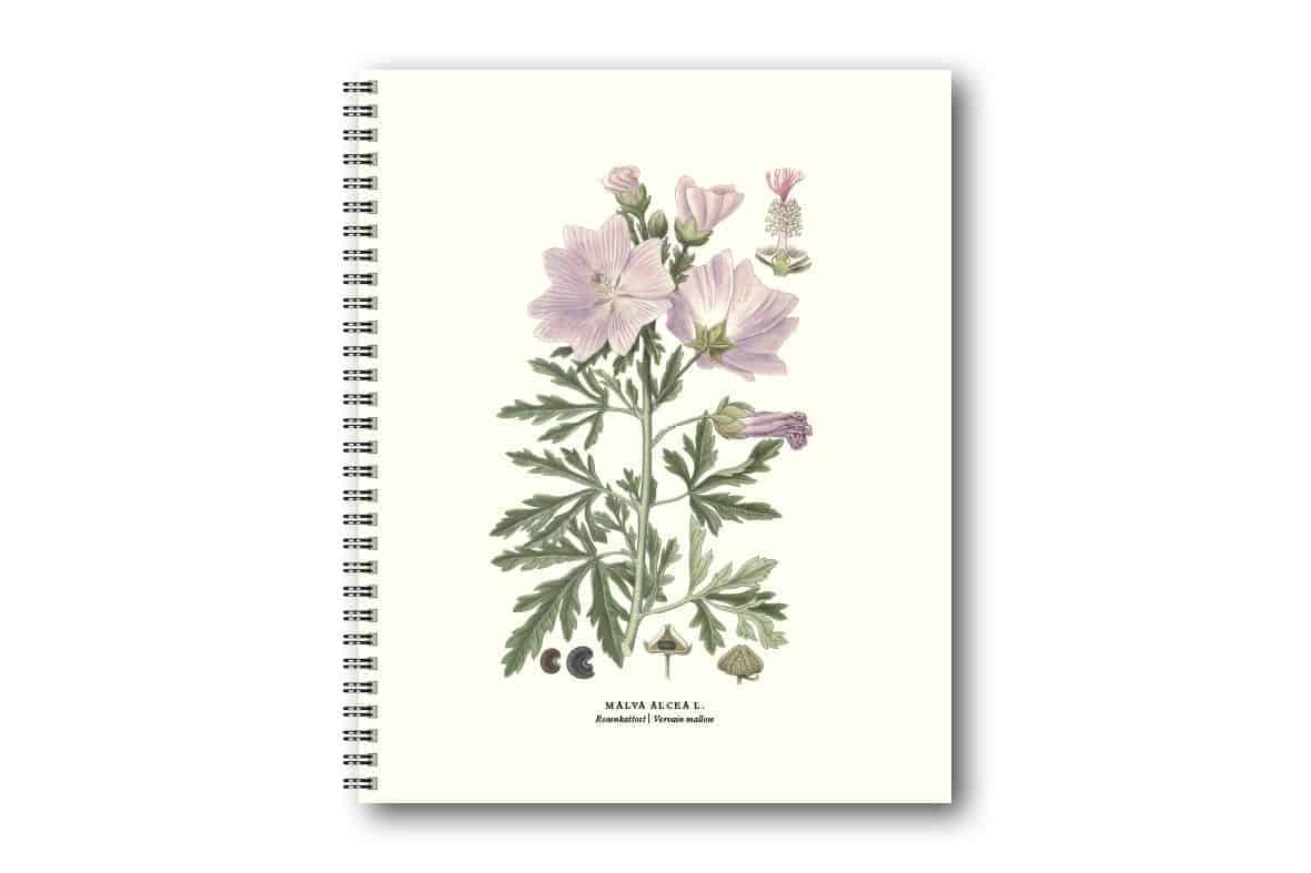 Skrivbok Rosenkattost