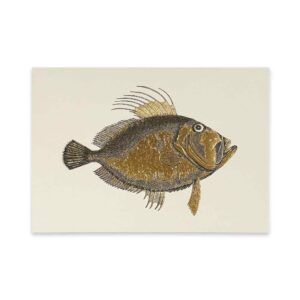 ROSSI Skissblock John Dory fish A5