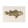 ROSSI Skrivbok Red fish