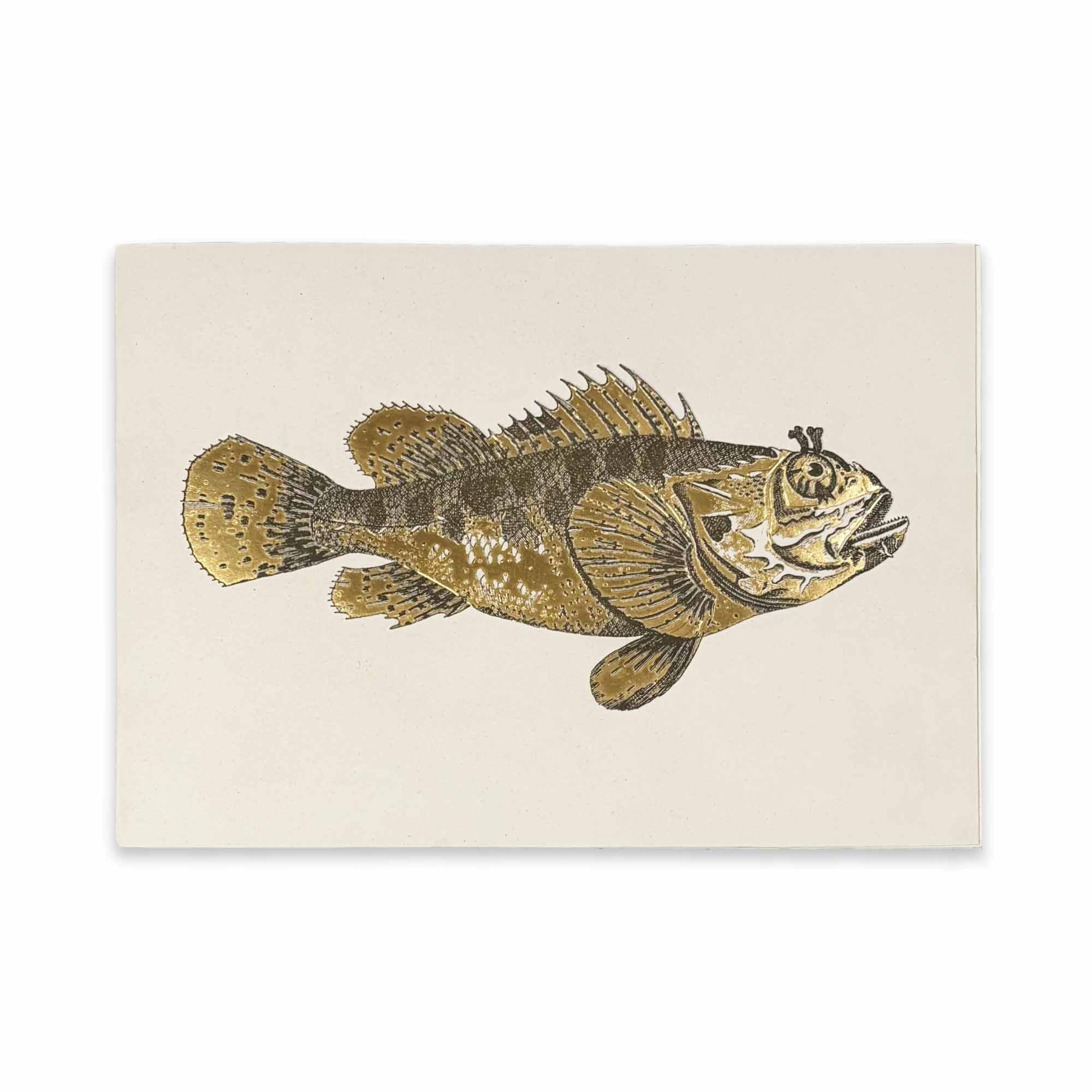 ROSSI Skrivbok Red fish ROSSI Skrivbok Red fish