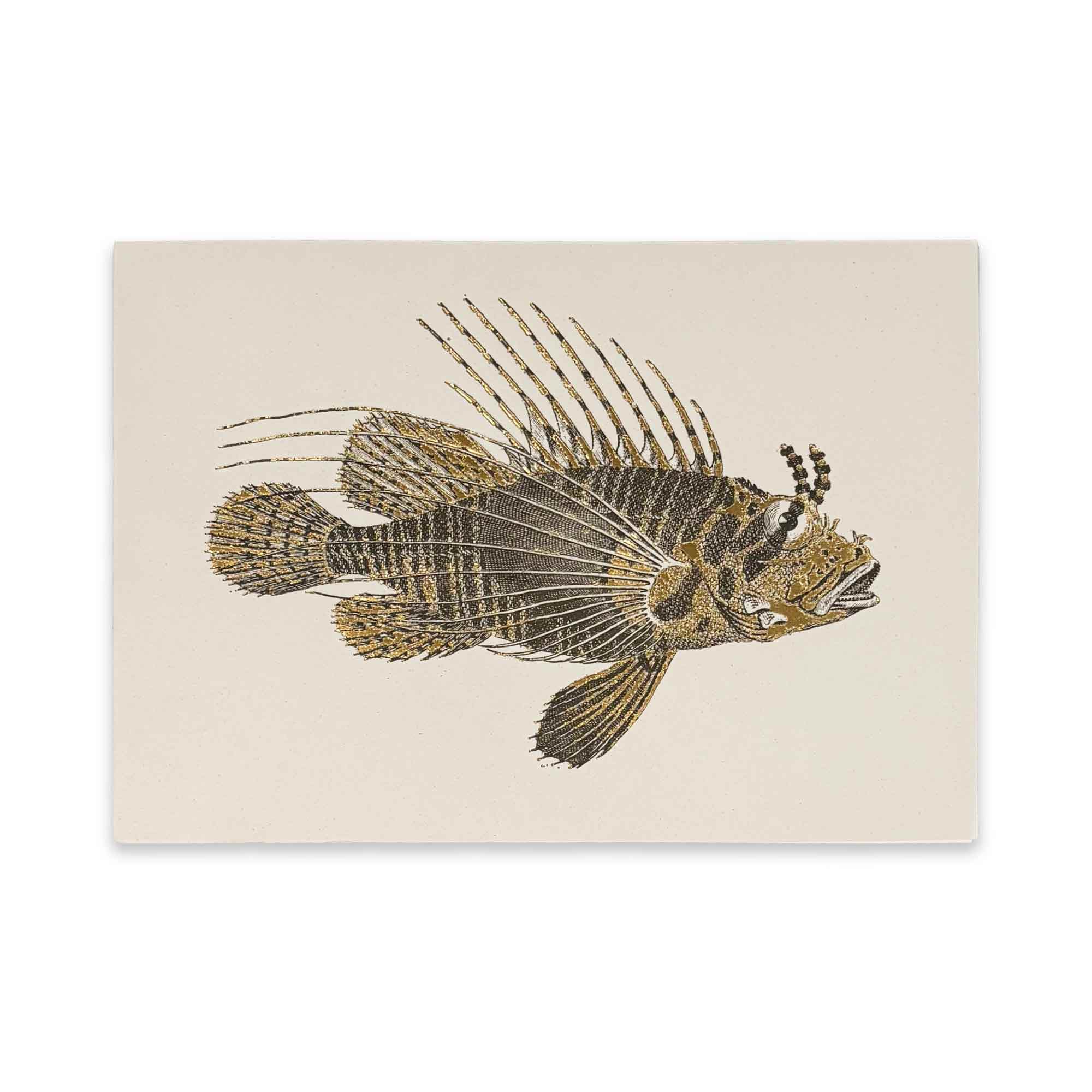 ROSSI Skissblock Scorpion fish A5