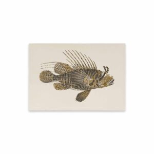 ROSSI Skissblock Scorpion fish A6