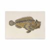 ROSSI Skissblock Wrasse fish A5