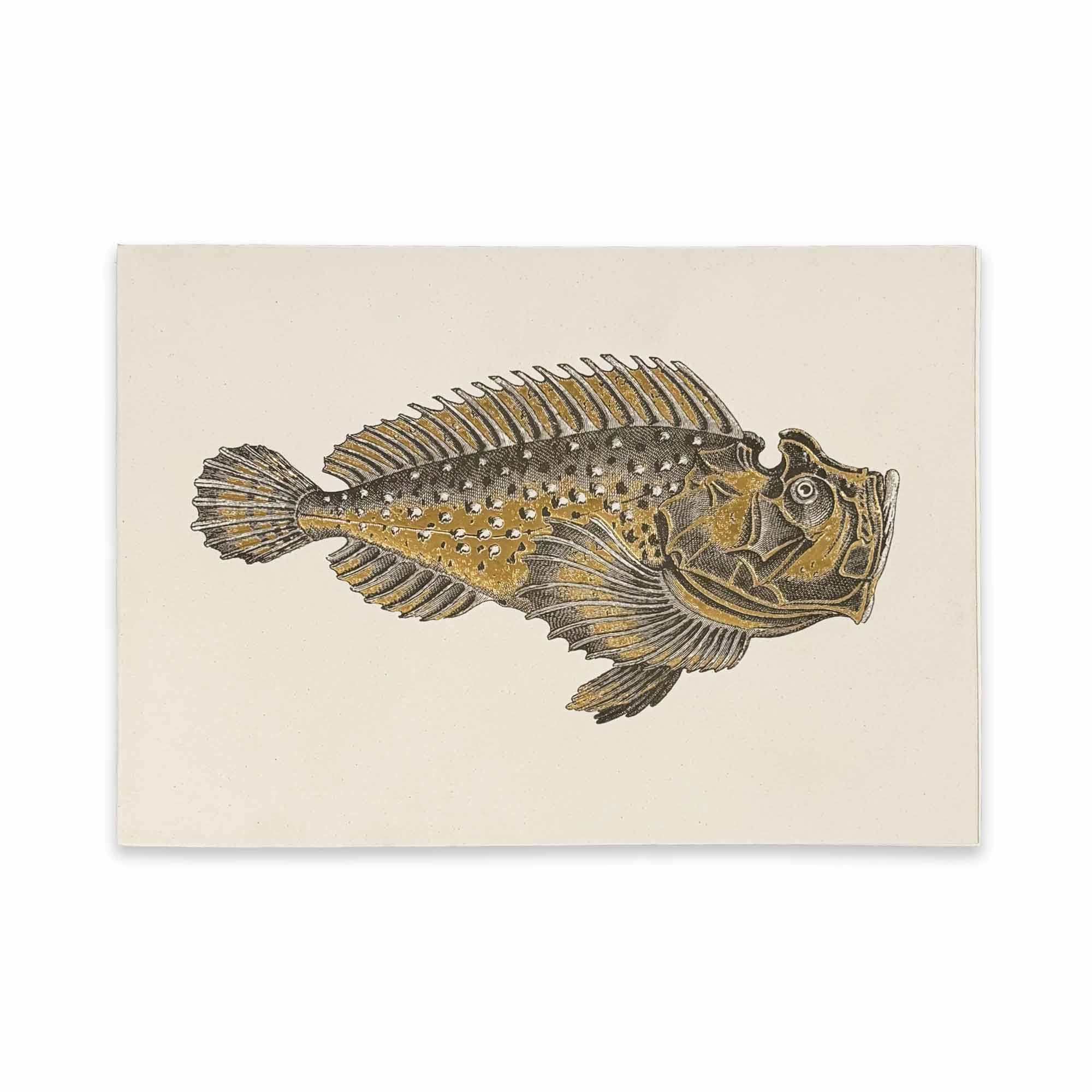 ROSSI Skissblock Wrasse fish A5 ROSSI Skissblock Wrasse fish A5