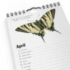 Födelsedagskalender Fjärilar 2