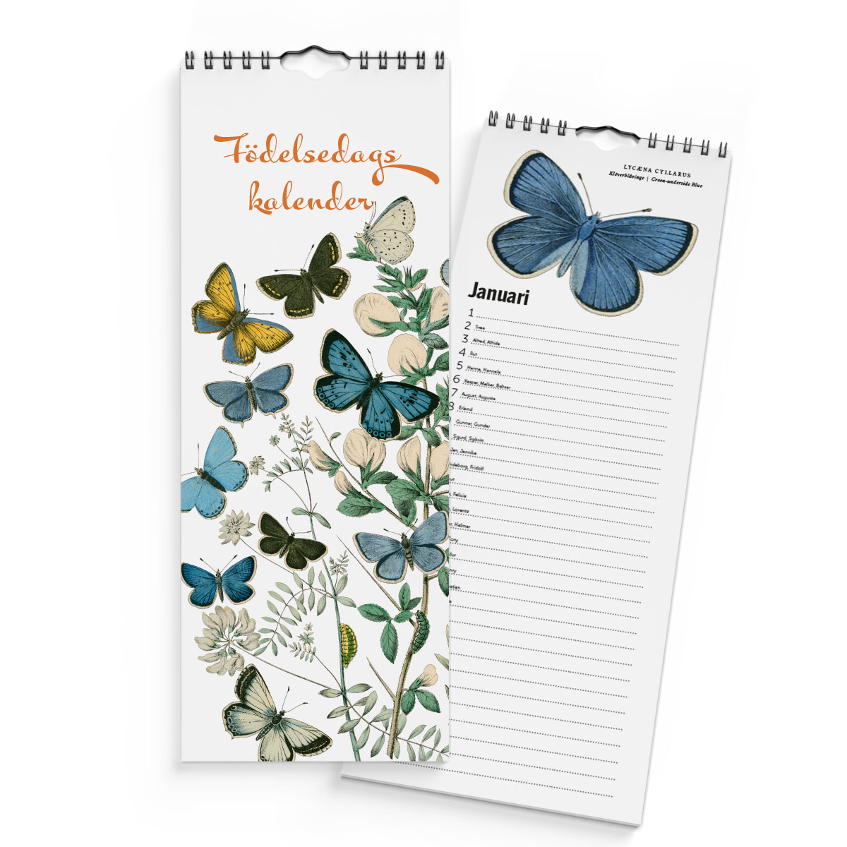 Födelsedagskalender Fjärilar 4