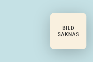 Skrivböcker Rossi 1931