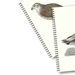 Skrivböcker Fåglar