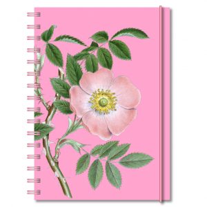 Personlig almanacka Höstnypon rosa