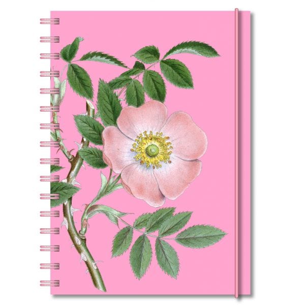 Personlig almanacka Höstnypon rosa
