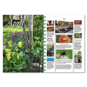 Personlig almanacka trädgård Solros slutsidor Elissons trädgård