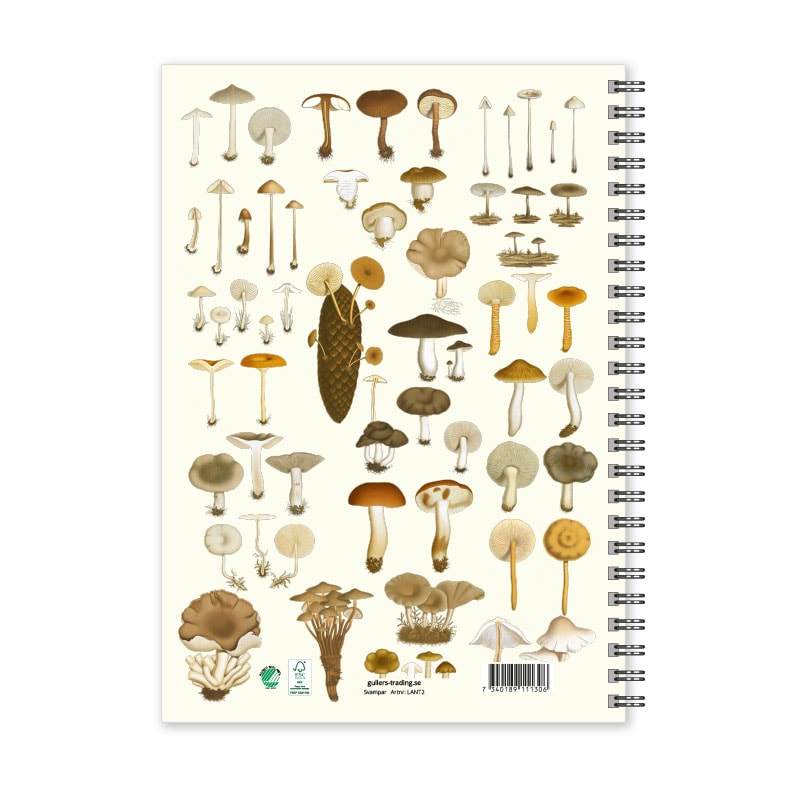 Anteckningsbok A5 Svampar linjerad Baksida