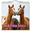 Väggkalender Hästar Mini 2023 Omslag