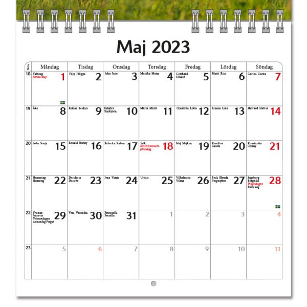 Väggkalender Hästar Mini 2023 Uppslag