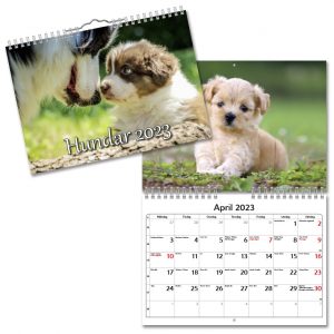 Väggkalender Hundar Small 2023