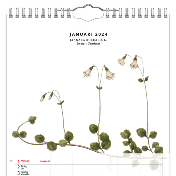 Familjekalender Växter 2024 kalendarie 2