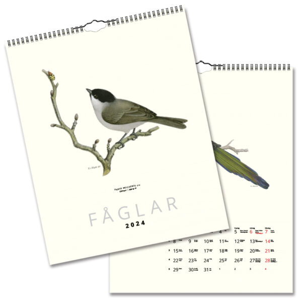 Väggkalender Fåglar 2024