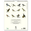 Väggkalender Fåglar 2024 baksida