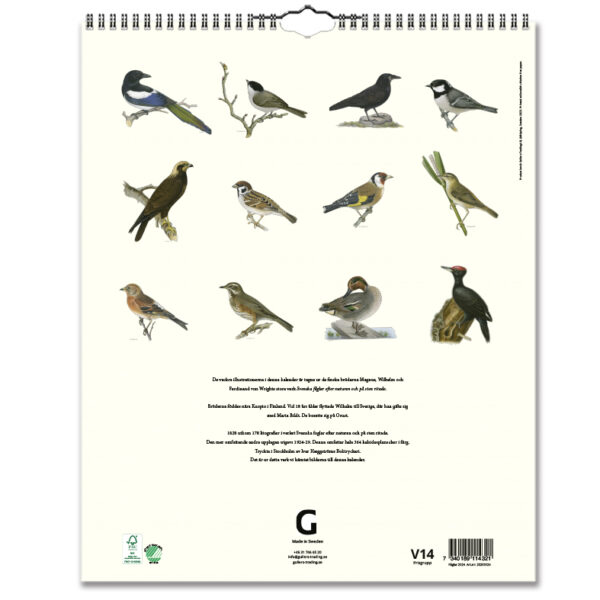 Väggkalender Fåglar 2024 baksida