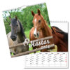 Väggkalender Hästar Large 2024