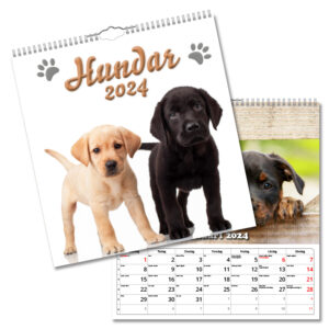 Väggkalender Hundar Large 2024