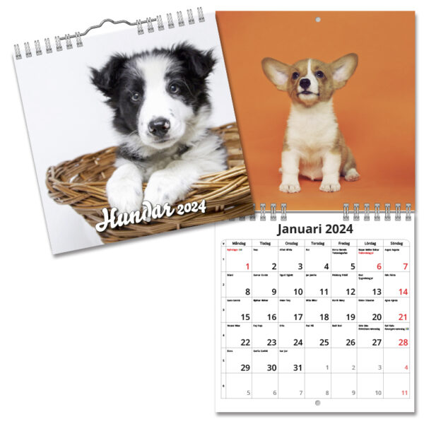 Väggkalender Hundar Mini 2024