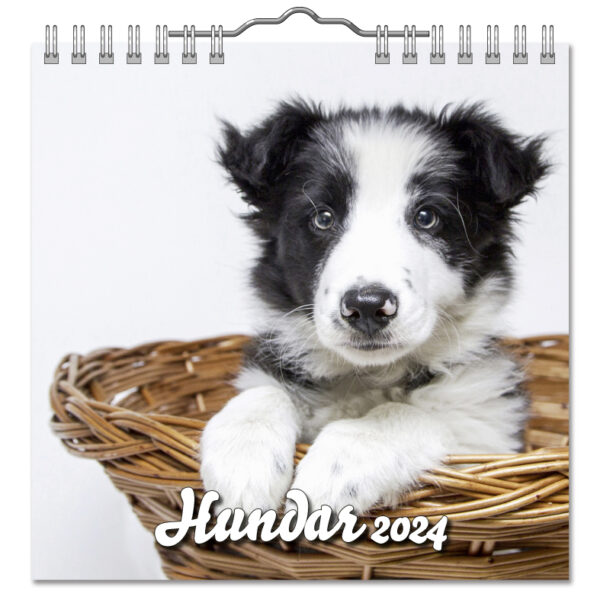 Väggkalender Hundar Mini 2024 omslag