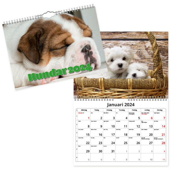 Väggkalender Hundar Small 2024