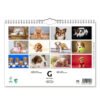 Väggkalender Hundar Small 2024 baksida