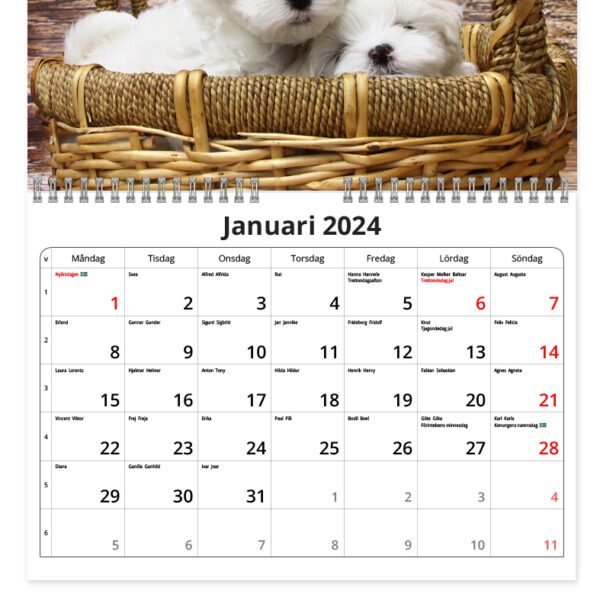 Väggkalender Hundar Small 2024 kalendarie