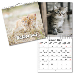 Väggkalender Katter Mini 2024
