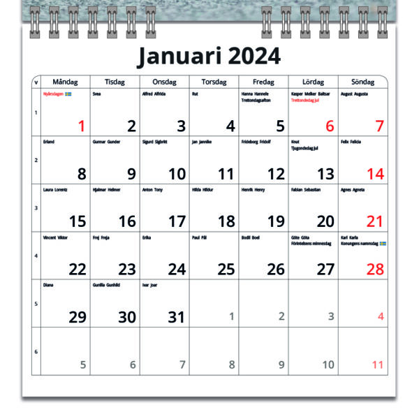 Väggkalender Katter Mini 2024 kalendarie