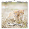 Väggkalender Katter Mini 2024 omslag