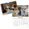 Väggkalender Katter Small 2024
