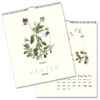 Väggkalender Växter 2024