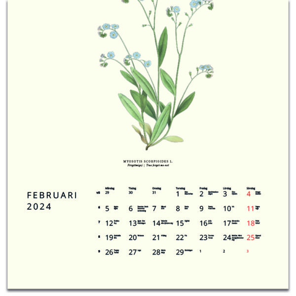 Väggkalender Växter 2024 kalendarie