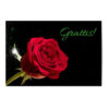 Vykort Grattis Ros