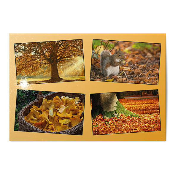 Vykort Höst Kollage