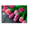 Vykort Tulpaner 2