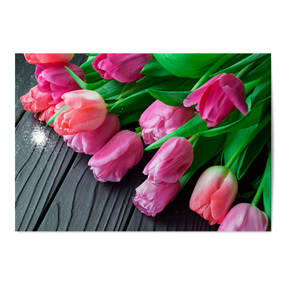 Vykort Tulpaner 2