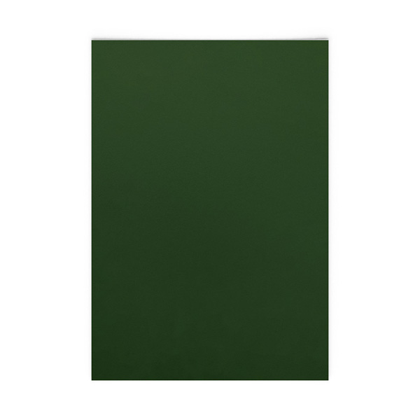 COLORPLAN LOCKWOOD GREEN A4 540g Färgat papper