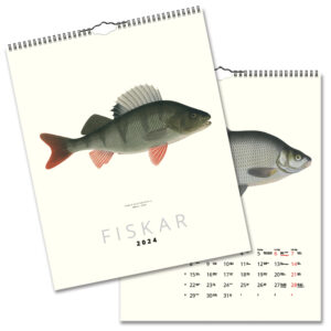 Väggkalender Fiskar 2024