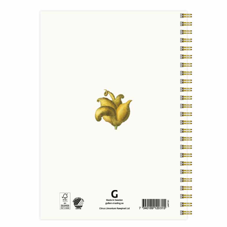 Anteckningsbok A5 Citron Limonium baksida