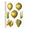 Anteckningsbok A5 Citron Limonium framsida
