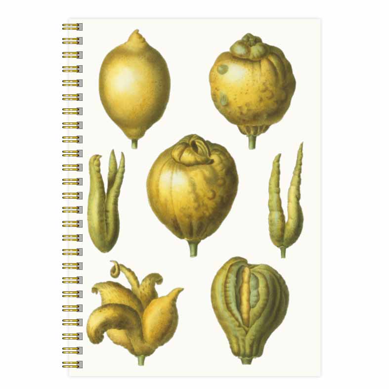 Anteckningsbok A5 Citron Limonium framsida