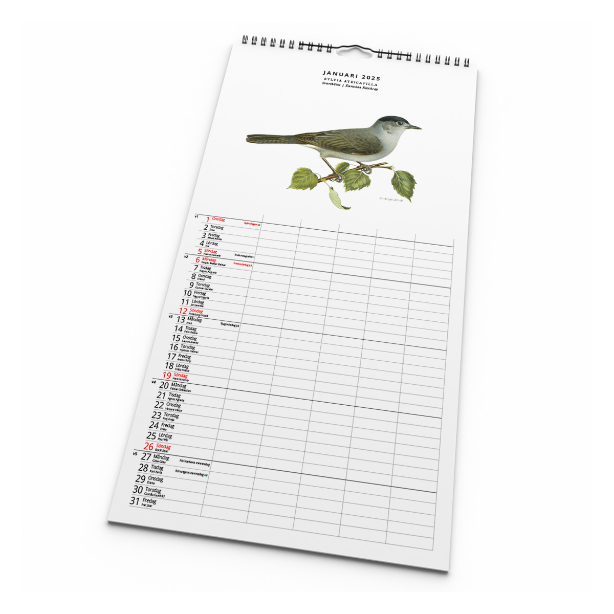 Familjekalender Fåglar 2025 Kalendarie